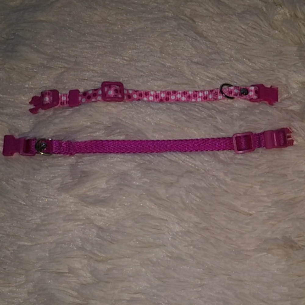 Animal Collars - Picture 2 of 4